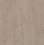 Concrete Taupe 40X120X2